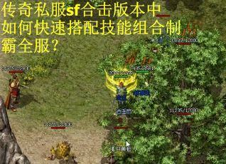 传奇私服sf合击版本中如何快速搭配技能组合制霸全服？