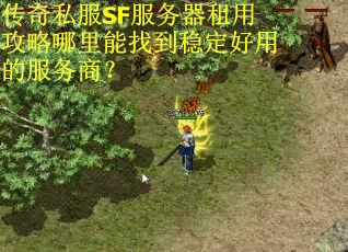 传奇私服SF服务器租用攻略哪里能找到稳定好用的服务商？