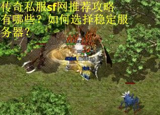 传奇私服sf网推荐攻略有哪些？如何选择稳定服务器？