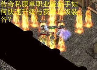 传奇私服单职业版新手如何快速升级与获取顶级装备？