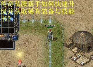 传奇私服新手如何快速升级并获取稀有装备与技能书？