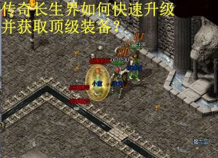 传奇长生界如何快速升级并获取顶级装备? 传奇长生界如何快速升级并获取顶级装备?