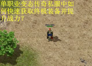 单职业变态传奇私服中如何快速获取终极装备并提升战力？