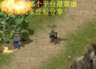 变态传奇哪个平台最靠谱?资深玩家经验分享 变态传奇哪个平台最靠谱?资深玩家经验分享