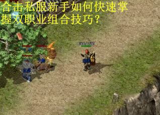 合击私服新手如何快速掌握双职业组合技巧? 合击私服新手如何快速掌握双职业组合技巧?
