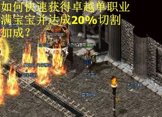 如何快速获得卓越单职业满宝宝并达成20%切割加成? 如何快速获得卓越单职业满宝宝并达成20%切割加成?
