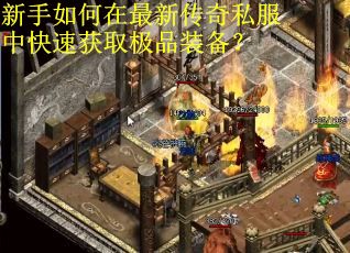 新手如何在最新传奇私服中快速获取极品装备？