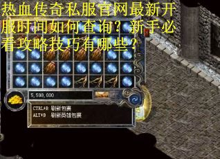 热血传奇私服官网最新开服时间如何查询？新手必看攻略技巧有哪些？