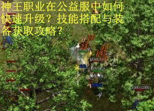 神王职业在公益服中如何快速升级?技能搭配与装备获取攻略? 神王职业在公益服中如何快速升级?技能搭配与装备获取攻略?
