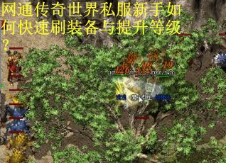 网通传奇世界私服新手如何快速刷装备与提升等级？