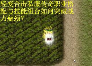 轻变合击私服传奇职业搭配与技能组合如何突破战力瓶颈? 轻变合击私服传奇职业搭配与技能组合如何突破战力瓶颈?