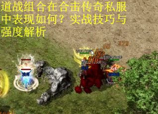 道战组合在合击传奇私服中表现如何？实战技巧与强度解析