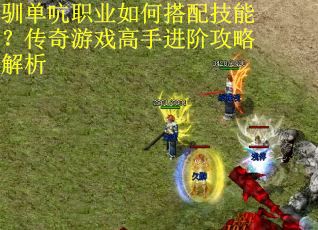 驯单吭职业如何搭配技能？传奇游戏高手进阶攻略解析