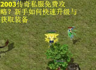 2003传奇私服免费攻略？新手如何快速升级与获取装备