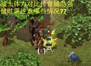 战士体力对比传奇辅助强健时需注意哪些情况?? 战士体力对比传奇辅助强健时需注意哪些情况??