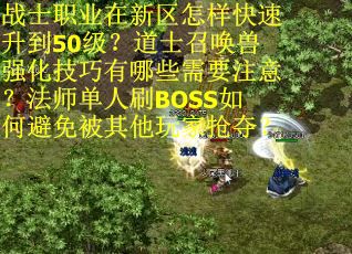 战士职业在新区怎样快速升到50级？道士召唤兽强化技巧有哪些需要注意？法师单人刷BOSS如何避免被其他玩家抢夺？