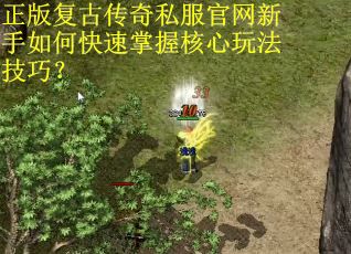 正版复古传奇私服官网新手如何快速掌握核心玩法技巧？