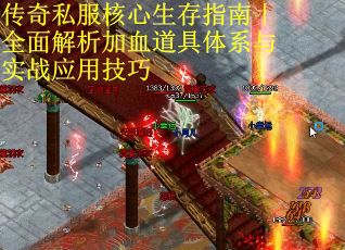 传奇私服核心生存指南｜全面解析加血道具体系与实战应用技巧