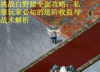 挑战白野猪全面攻略：私服玩家必知的进阶收益与战术解析