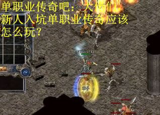 单职业传奇吧：大佬们，新人入坑单职业传奇应该怎么玩？