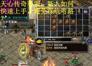 天心传奇私服：新人如何快速上手，避免踩坑弯路？