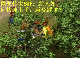 微变传世SIF：新人如何快速上手，避免踩坑？