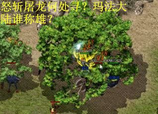 怒斩屠龙何处寻？玛法大陆谁称雄？