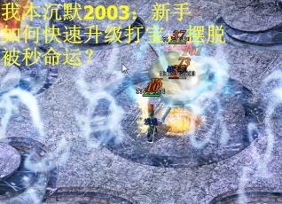 我本沉默2003：新手如何快速升级打宝，摆脱被秒命运？