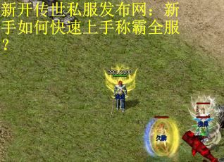 新开传世私服发布网：新手如何快速上手称霸全服？