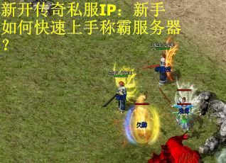 新开传奇私服IP：新手如何快速上手称霸服务器？