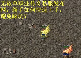 无赦单职业传奇私服发布网：新手如何快速上手，避免踩坑？