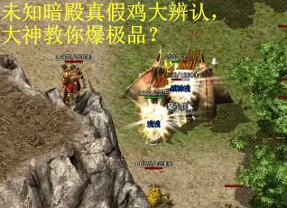 未知暗殿真假鸡大辨认，大神教你爆极品？