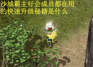 沙城霸主行会成员都在用的快速升级秘籍是什么