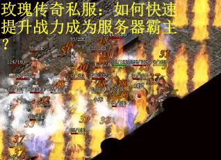 玫瑰传奇私服：如何快速提升战力成为服务器霸主？