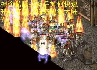 神途私服：新手如何快速升级打宝，称霸玛法大陆？