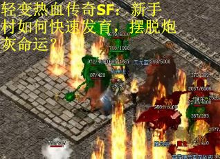 轻变热血传奇SF：新手村如何快速发育，摆脱炮灰命运？