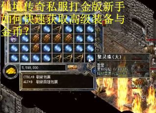 仙境传奇私服打金版新手如何快速获取高级装备与金币？