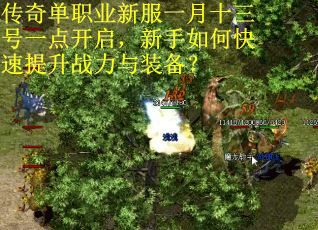 传奇单职业新服一月十三号一点开启，新手如何快速提升战力与装备？