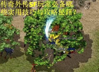 传奇外传SF玩家必备哪些实用技巧与攻略秘籍？