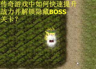 传奇游戏中如何快速提升战力并解锁隐藏BOSS关卡？
