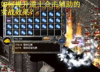 如何提升道士合击辅助的实战效果？