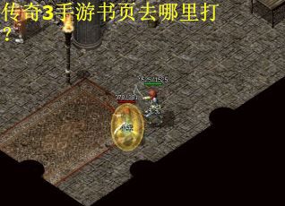 传奇3手游书页去哪里打？