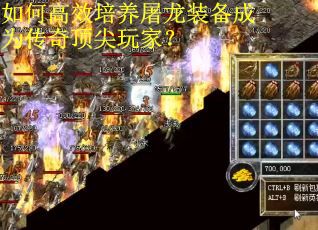 如何高效培养屠龙装备成为传奇顶尖玩家？