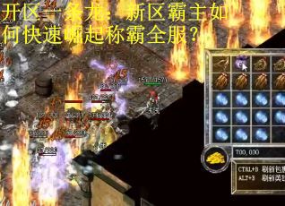 开区一条龙：新区霸主如何快速崛起称霸全服？