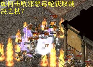 如何击败邪恶毒蛇获取裁决之杖？