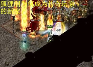 狐狸洞为何成为传奇玩家的新宠？