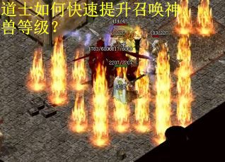 道士如何快速提升召唤神兽等级？