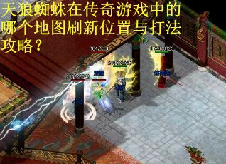 天狼蜘蛛在传奇游戏中的哪个地图刷新位置与打法攻略？