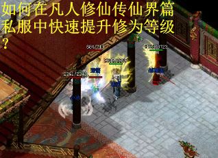 如何在凡人修仙传仙界篇私服中快速提升修为等级？