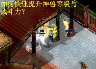 如何快速提升神兽等级与战斗力？